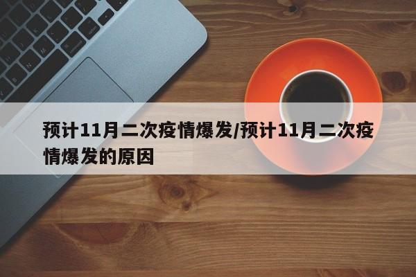 预计11月二次疫情爆发/预计11月二次疫情爆发的原因