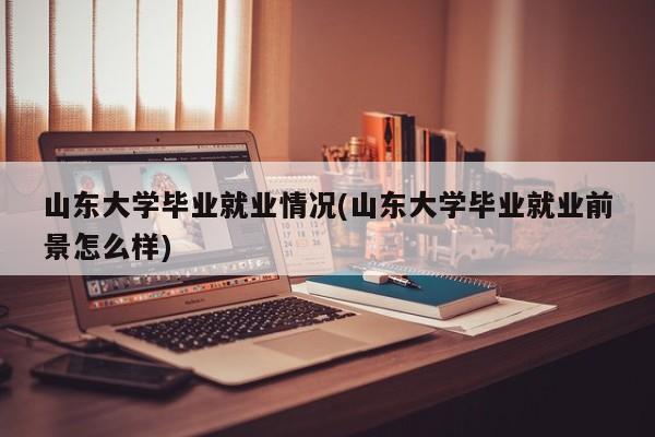 山东大学毕业就业情况(山东大学毕业就业前景怎么样)