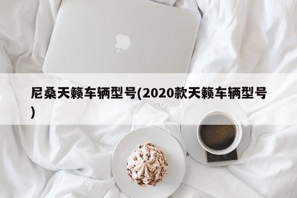 尼桑天籁车辆型号(2020款天籁车辆型号)
