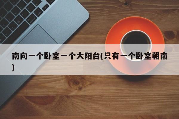 南向一个卧室一个大阳台(只有一个卧室朝南)