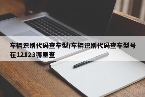 车辆识别代码查车型/车辆识别代码查车型号在12123哪里查