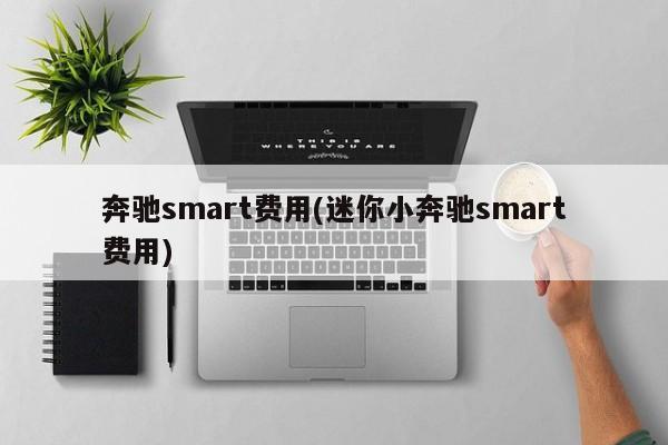 奔驰smart费用(迷你小奔驰smart费用)