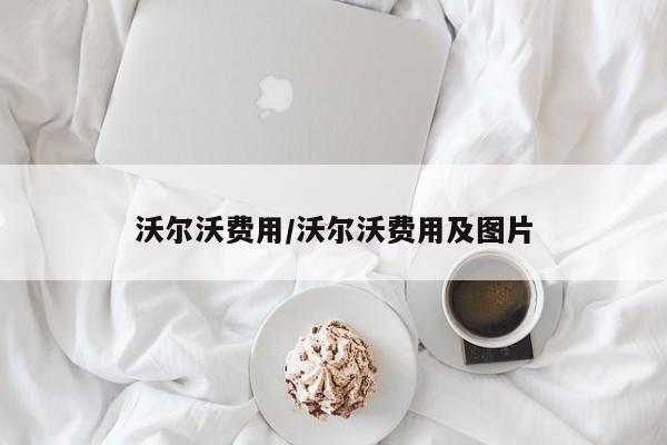 沃尔沃费用/沃尔沃费用及图片