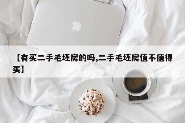 【有买二手毛坯房的吗,二手毛坯房值不值得买】