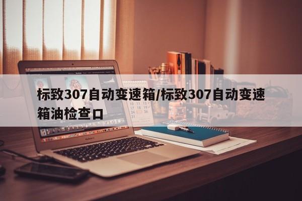 标致307自动变速箱/标致307自动变速箱油检查口