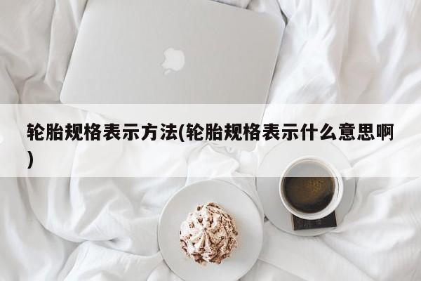 轮胎规格表示方法(轮胎规格表示什么意思啊)